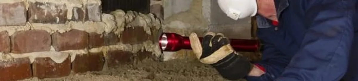Pest control technician inspecting a crawl space for ant activity and entry points in Lakewood, CO