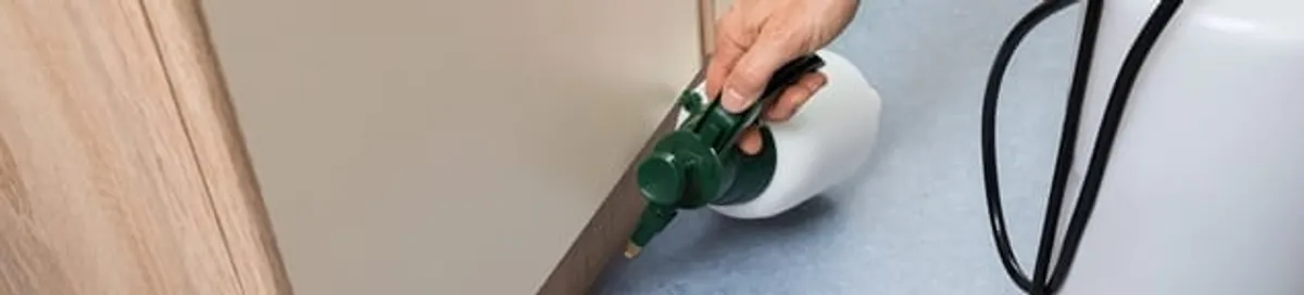 Bed bug exterminator treating baseboards and cracks with targeted spray in Lakewood, CO