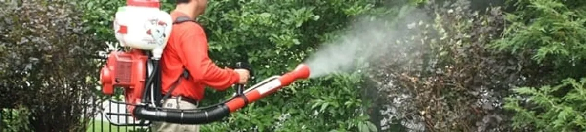 Mosquito control technician fogging shrubs and landscaping for mosquito treatment in Lakewood, CO