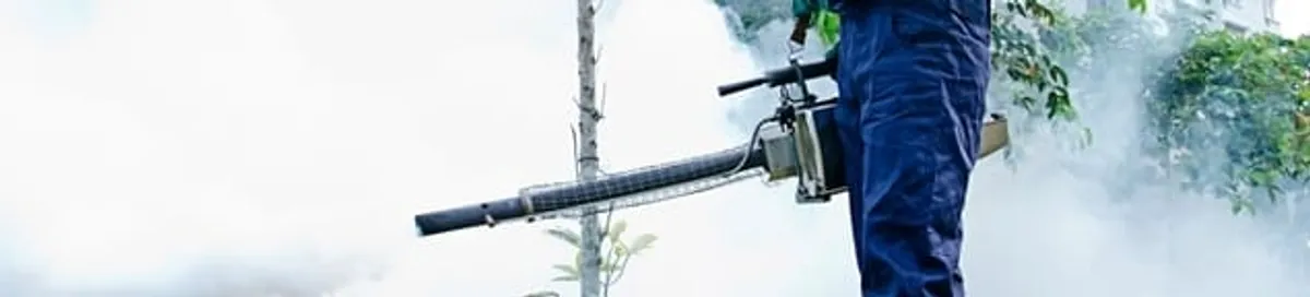 Pest control technician fogging an outdoor area for insect control in Lakewood, CO