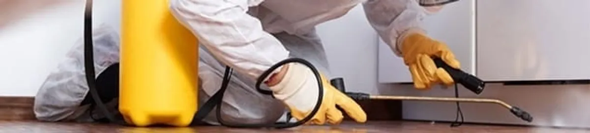 Roach exterminator treating cracks and crevices along kitchen baseboards in Lakewood, CO