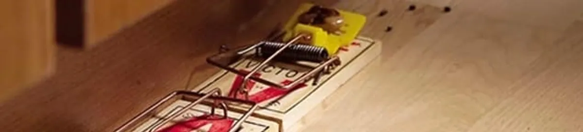 Rodent trap set indoors for rodent control and prevention in Lakewood, CO