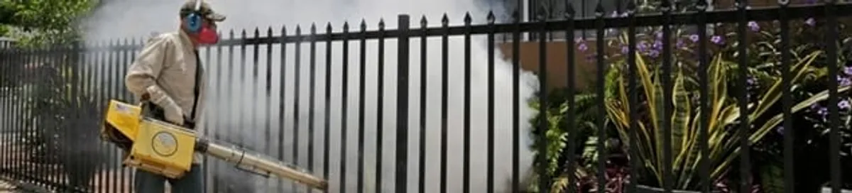 Mosquito control technician fogging a yard perimeter for mosquito reduction in Lakewood, CO